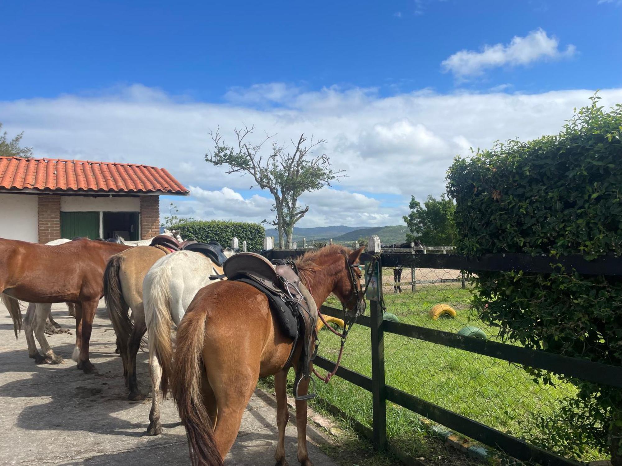 Gravata Flat No Condominio Monte Castelo Melhor Localizacao , Wi-Fi, Sky E Ar Eksteriør bilde